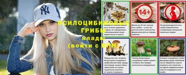 метадон Няндома